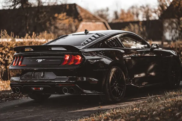 비아이지드지드 카지노 안드로이드/iOS 앱